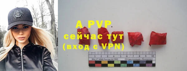 дмт Ладушкин