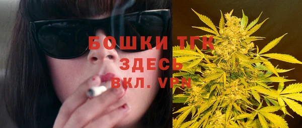 МДПВ Лагань