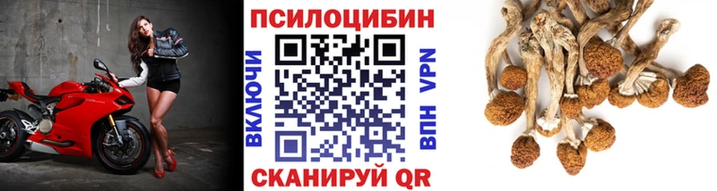 Псилоцибиновые грибы Psilocybine cubensis  Нефтекумск 