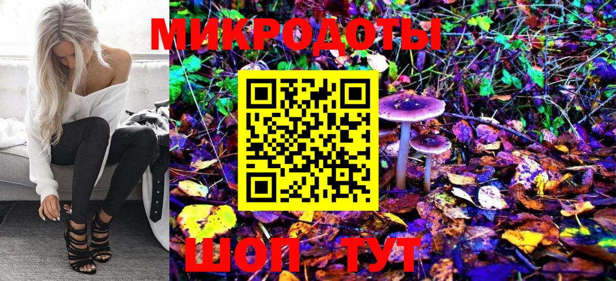 Псилоцибиновые грибы Psilocybe Нефтекумск