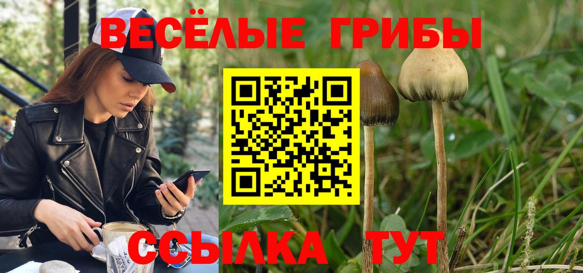 Нефтекумск  Галлюциногенные грибы GOLDEN TEACHER  Вход с VPN 
